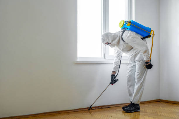 Reliable Tuscaloosa, AL Pest Control Solutions