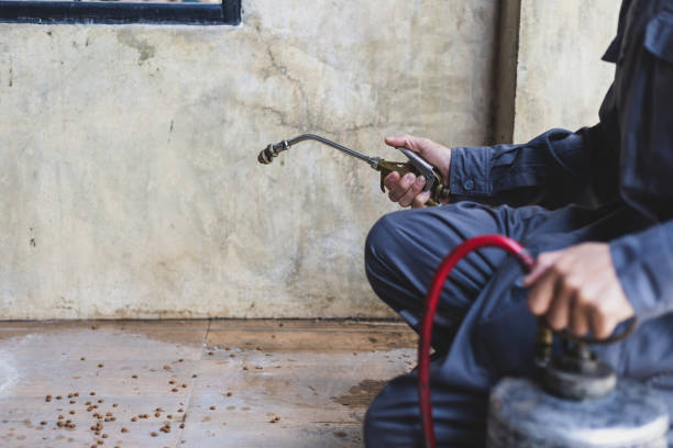 Wasp Removal Services in Tuscaloosa, AL
